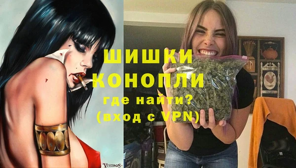 индика Покровск